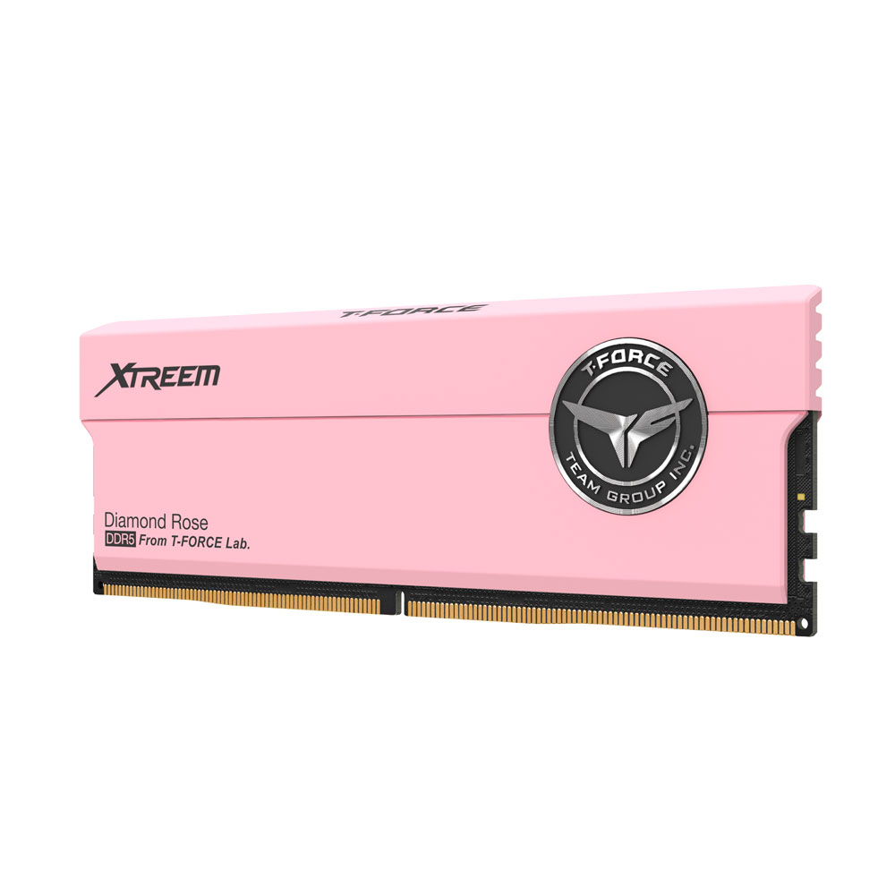 XTREEM DDR5 DESKTOP MEMORY PINK