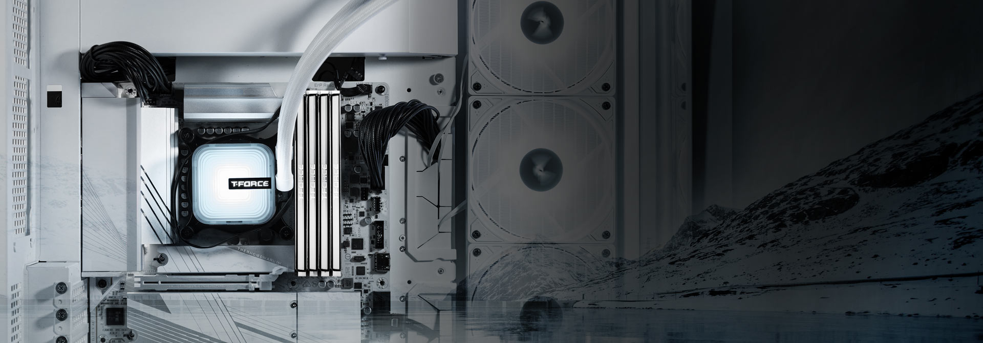 The Best Choice for White-themed Builds