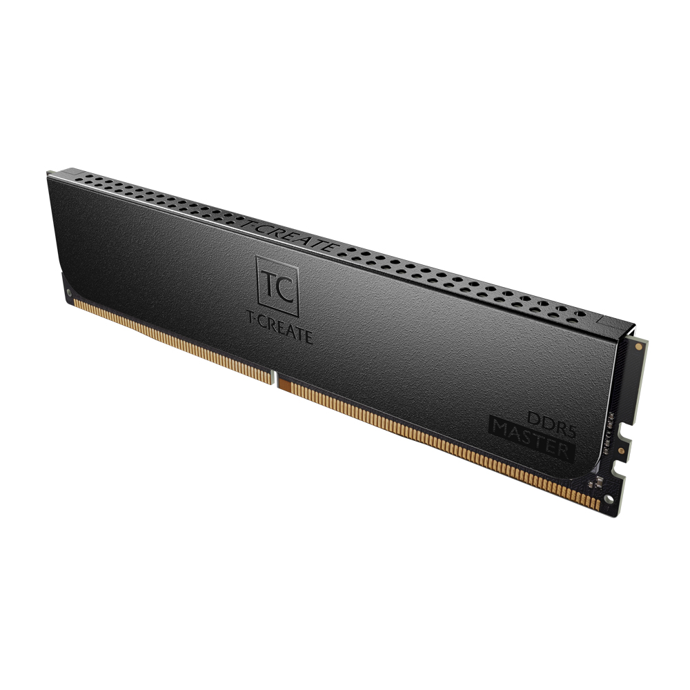 MASTER DDR5 WORKSTATION MEMORY BLACK