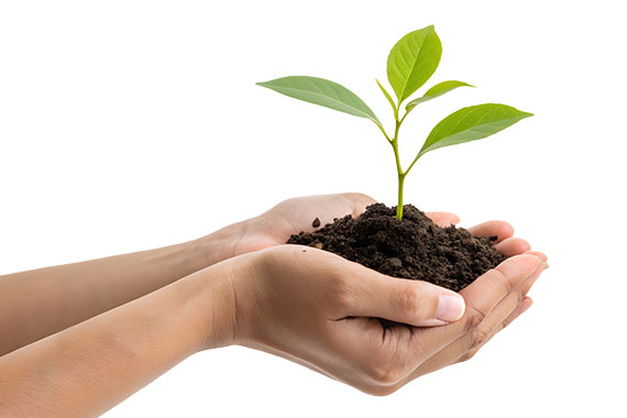 Contribute in helping the planet with an eco-friendly product