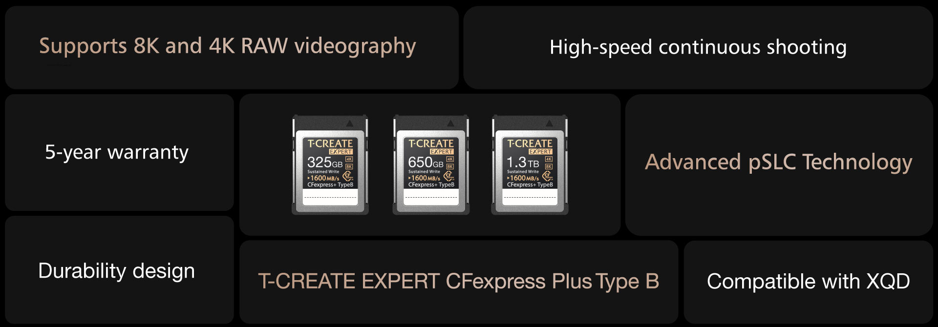 08_EXPERT CFexpress Plus Type B Memory Card_Introduction