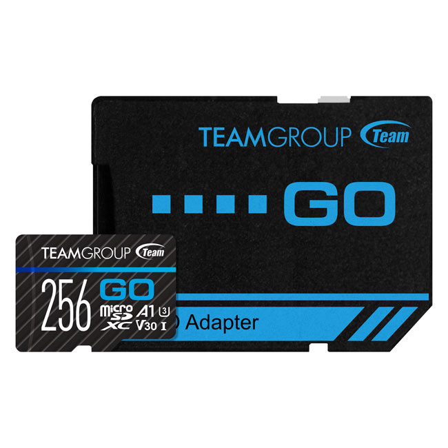 GO Micro SDXC UHS-I U3 V30 Memory Card 256GB with 1 Adapter